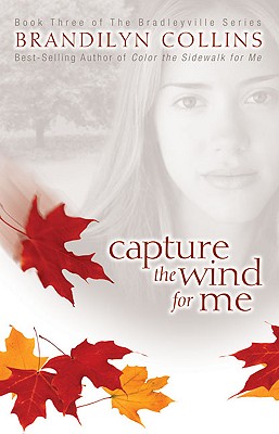 Capture the Wind for Me Capture the Wind for Me