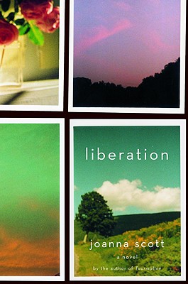 Image for LIBERATION : A NOVEL