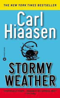 Image for Stormy Weather