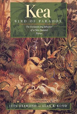 Kea, Bird of Paradox: The Evolution and Behavior of a New Zealand Parrot, Diamond, Judy; Bond, Alan B. Kea, Bird of Paradox: The Evolution and Behavior of a New Zealand Parrot, Diamond, Judy; Bond, Alan B.