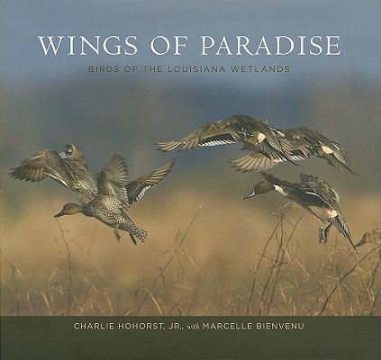 Image for Wings of Paradise Birds of the Louisiana Wetlands