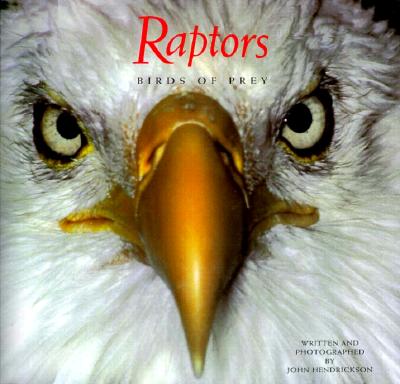 Image for Raptors: Birds of Prey