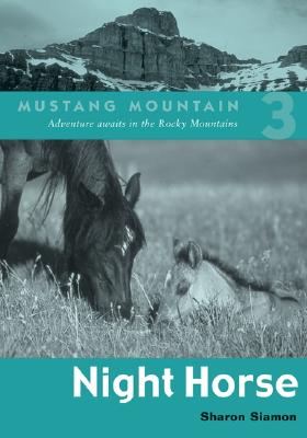 Image for Night Horse (Mustang Mountain Series)