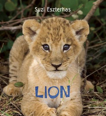 Image for Eye on the Wild: Lion