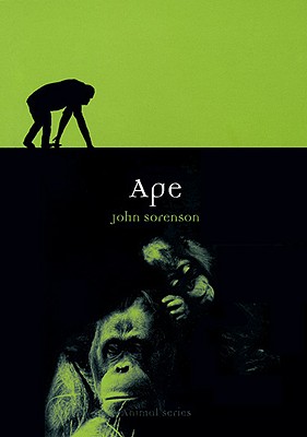 Image for Ape (Animal)