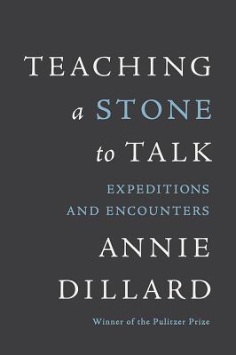 Image for Teaching a Stone to Talk: Expeditions and Encounters