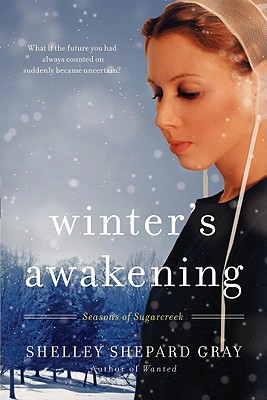 Winter's Awakening: Seasons of Sugarcreek, Book One (Seasons of Sugarcreek, 1)