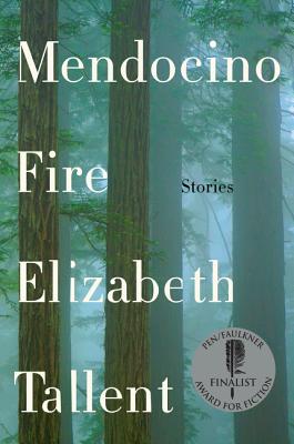 MENDOCINO FIRE