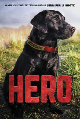 Hero [Paperback] Shotz, Jennifer Li