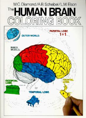 Image for The Human Brain Coloring Book (Cos, 306)