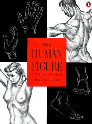 Image for The Human Figure: An Anatomy for Artists