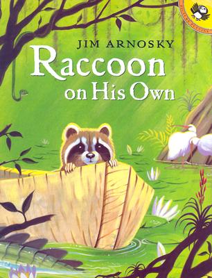 Raccoon On His Own (Picture Puffin Books)