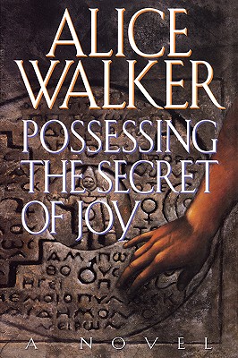 Image for Possessing the Secret of Joy