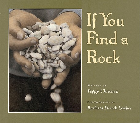 Image for If You Find a Rock