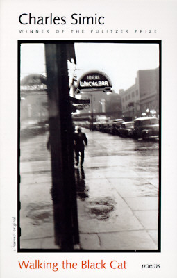 Image for Walking the Black Cat Walking the Black Cat