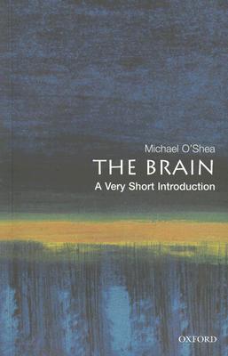 Image for Brain: A Very Short Introduction
