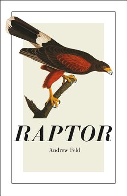 Raptor (Phoenix Poets)