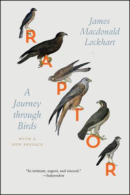 Raptor: A Journey through Birds