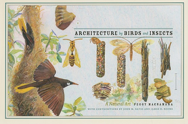 Architecture By Birds And Insects