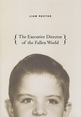 The Executive Director of the Fallen World (Phoenix Poets)