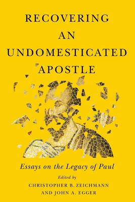 Recovering an Undomesticated Apostle: Essays on the Legacy of Paul (Volume 3) (Studies in Christianity and Judaism Series)