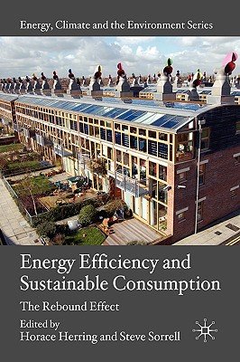 Energy Efficiency and Sustainable Consumption: The Rebound Effect (Energy, Climate and the Environment)