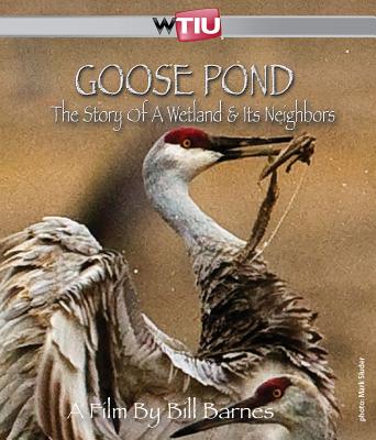 Goose Pond: The Story of a Wetland and Its Neighbors