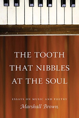 The Tooth That Nibbles at the Soul: Essays on Music and Poetry (Literary Conjugations)