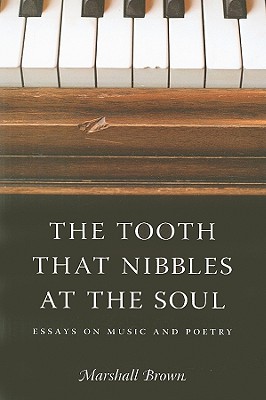The Tooth That Nibbles at the Soul: Essays on Music and Poetry (Literary Conjugations)