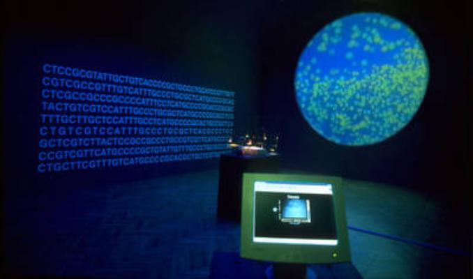 Bioart and the Vitality of Media (In Vivo)