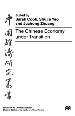 The Chinese Economy under Transition (Studies on the Chinese Economy)