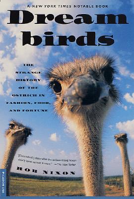 Image for Dream Birds