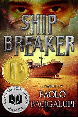 the ship breaker