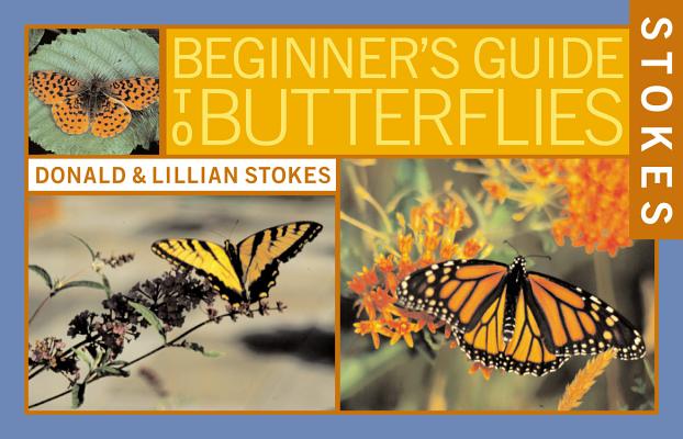 Image for Stokes Beginner's Guide to Butterflies Stokes Beginner's Guide to Butterflies