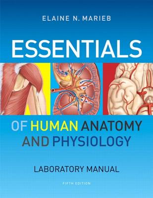 Essentials of Human Anatomy & Physiology