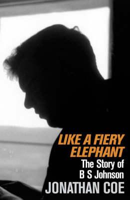 Image for Like a Fiery Elephant : The Story of B.S.Johnson Like a Fiery Elephant : The Story of B.S.Johnson