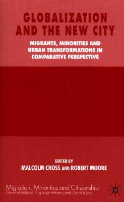 Globalization and the New City: Migrants, Minorities and Urban Transformations in Comparative Perspective (Practical Social Work Series)