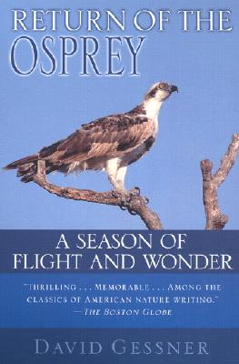 Return of the Osprey: A Season of Flight and Wonder