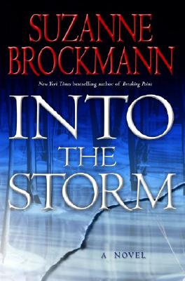 Into the storm : a novel