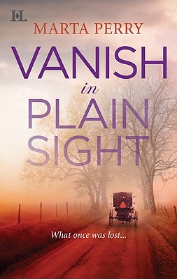 Vanish in Plain Sight (Brotherhood of the Raven, 2)