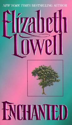 Enchanted (Medieval Series, 3)