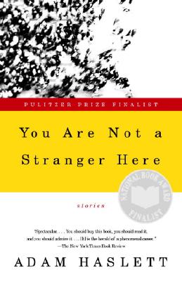 Image for You Are Not a Stranger Here: Stories