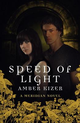 Speed of Light (Meridian)