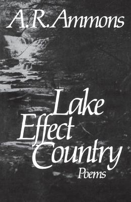 Lake Effect Country: Poems