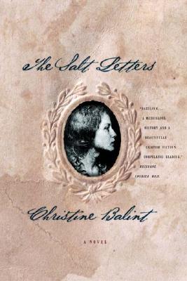Image for The Salt Letters: A Novel