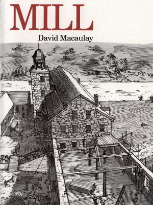 Image for Mill