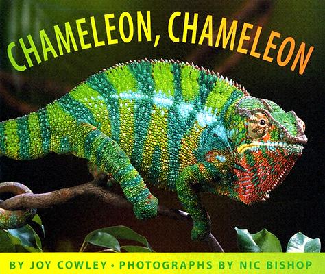 Chameleon, Chameleon