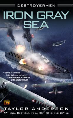 Image for Iron Gray Sea: Destroyermen