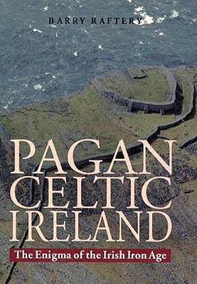 Image for Pagan Celtic Ireland: The Enigma of the Irish Iron Age Pagan Celtic Ireland: The Enigma of the Irish Iron Age