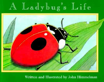 Image for A Ladybug's Life (Nature Upclose)